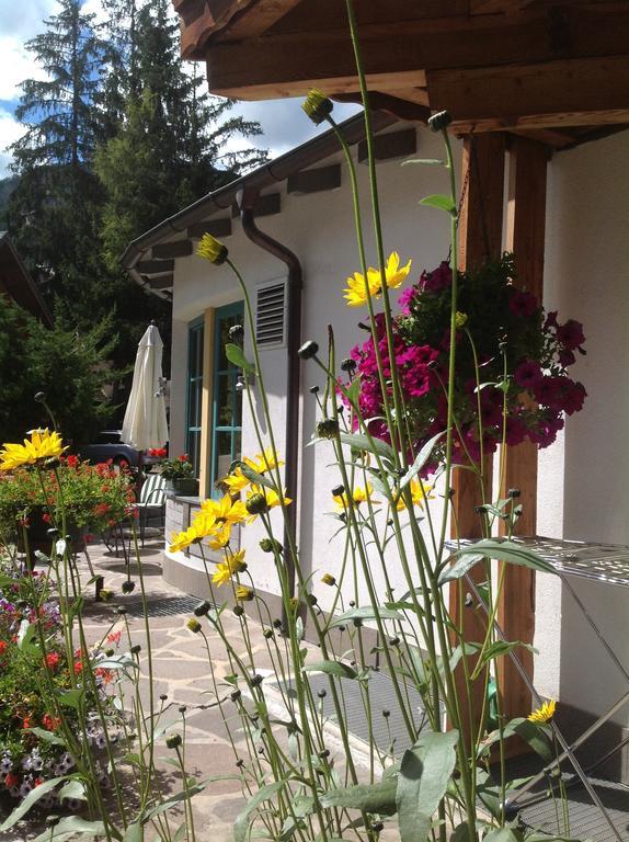Hotel Garni Pineta à San Martino in Badia Extérieur photo